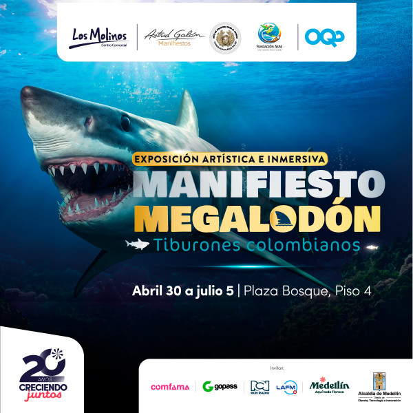 Exposición Artística e inmersiva manifiesto Megalodón – Tiburones Colombianos Exposición Artística e inmersiva manifiesto Megalodón – Tiburones Colombianos