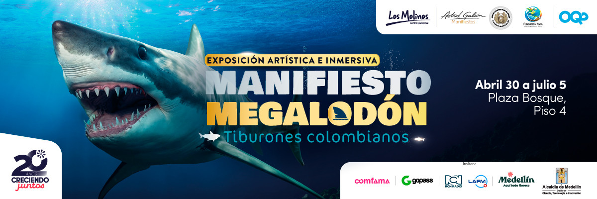 Exposición Artística e inmersiva manifiesto Megalodón – Tiburones Colombianos Exposición Artística e inmersiva manifiesto Megalodón – Tiburones Colombianos